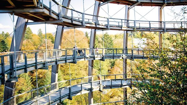 Weitblick: Bei Neuschönau im Bayerischen Wald steht dieser Aussichtsturm.